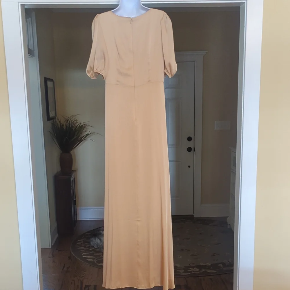 Sachin + Babi Champagne Ruched Maxi Gown - Picture 4 of 6